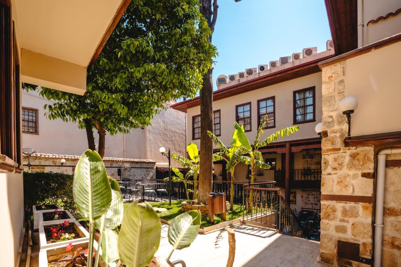 Otel Mediterra Art